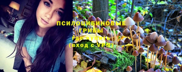 эйфоретик Дмитровск