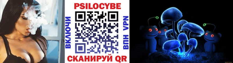 Псилоцибиновые грибы мицелий  Купить где  Семёнов 