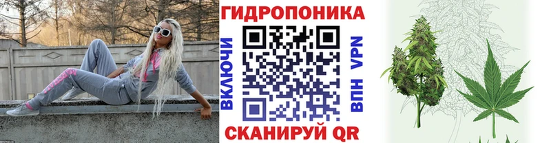 Шишки марихуана марихуана  Купить закладки  Семёнов 